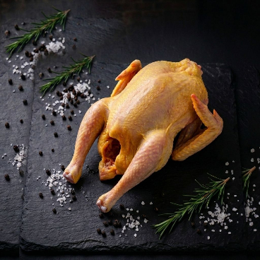 chicken img
